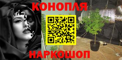 Альфа ПВП Кандалакша