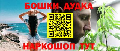 Альфа ПВП Кандалакша