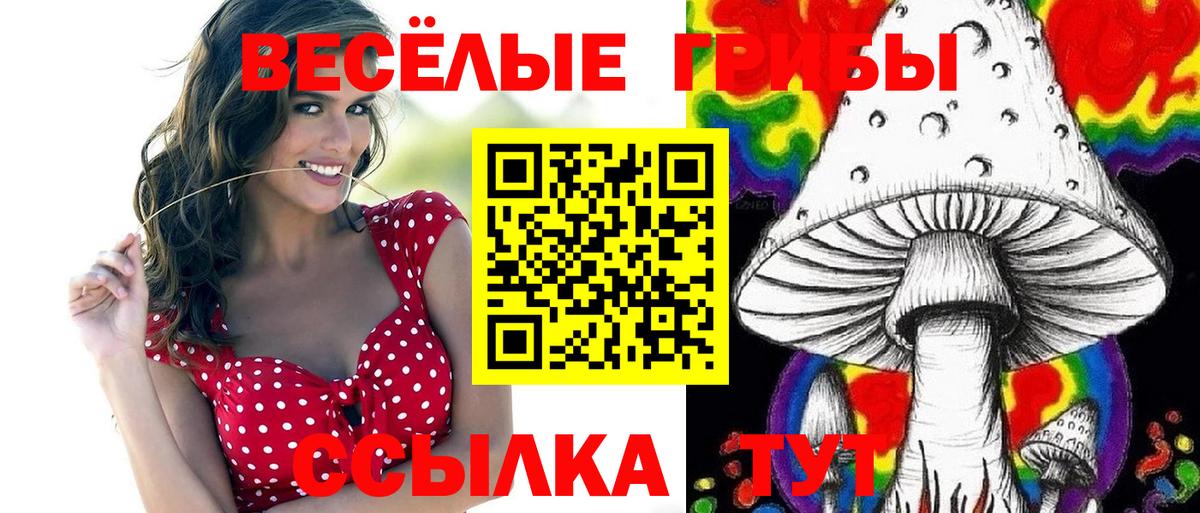 Котельники  Галлюциногенные грибы GOLDEN TEACHER  Вход с VPN 